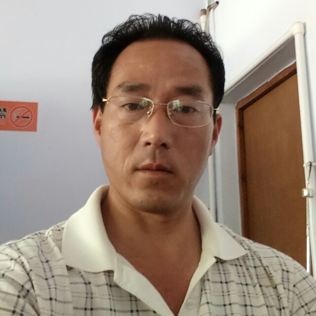 灰狼恬静的照片