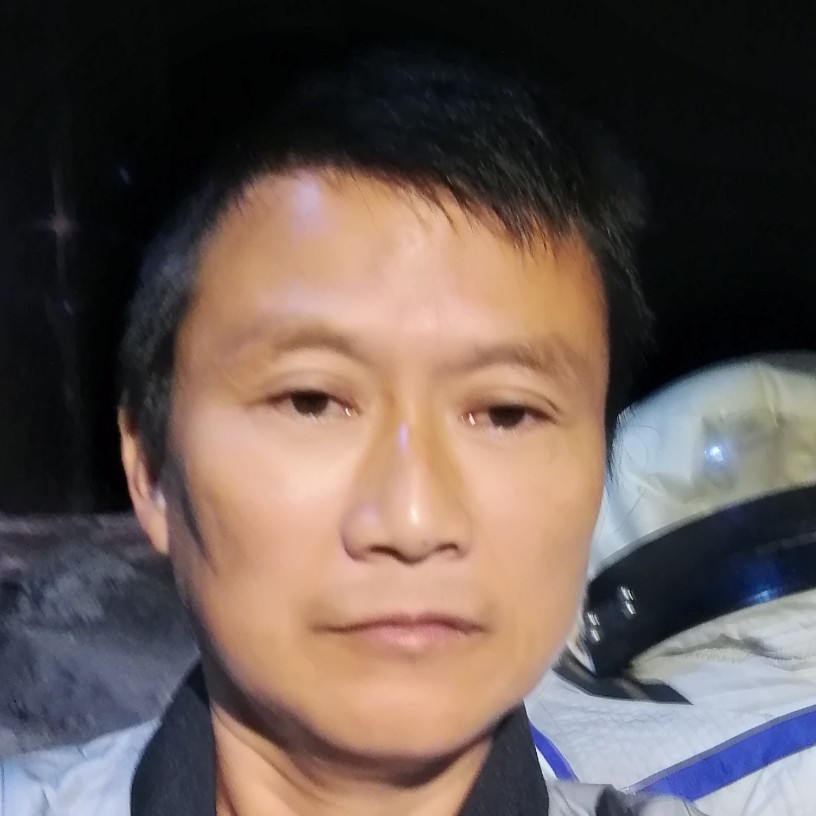 康乃馨保卫妖娆的照片