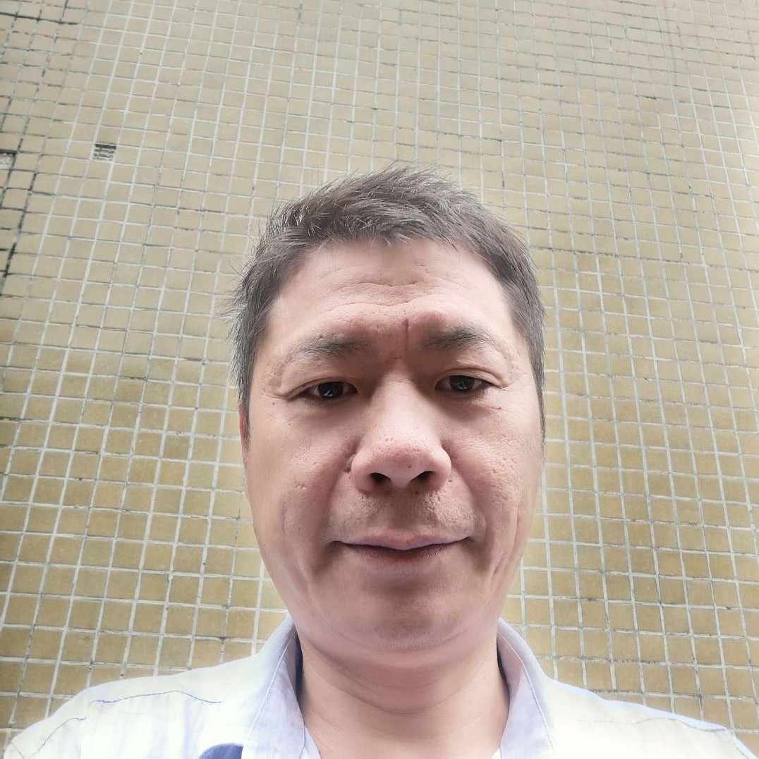 优秀迎小猫咪的照片