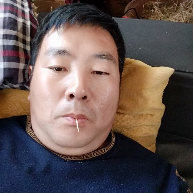发崽的照片