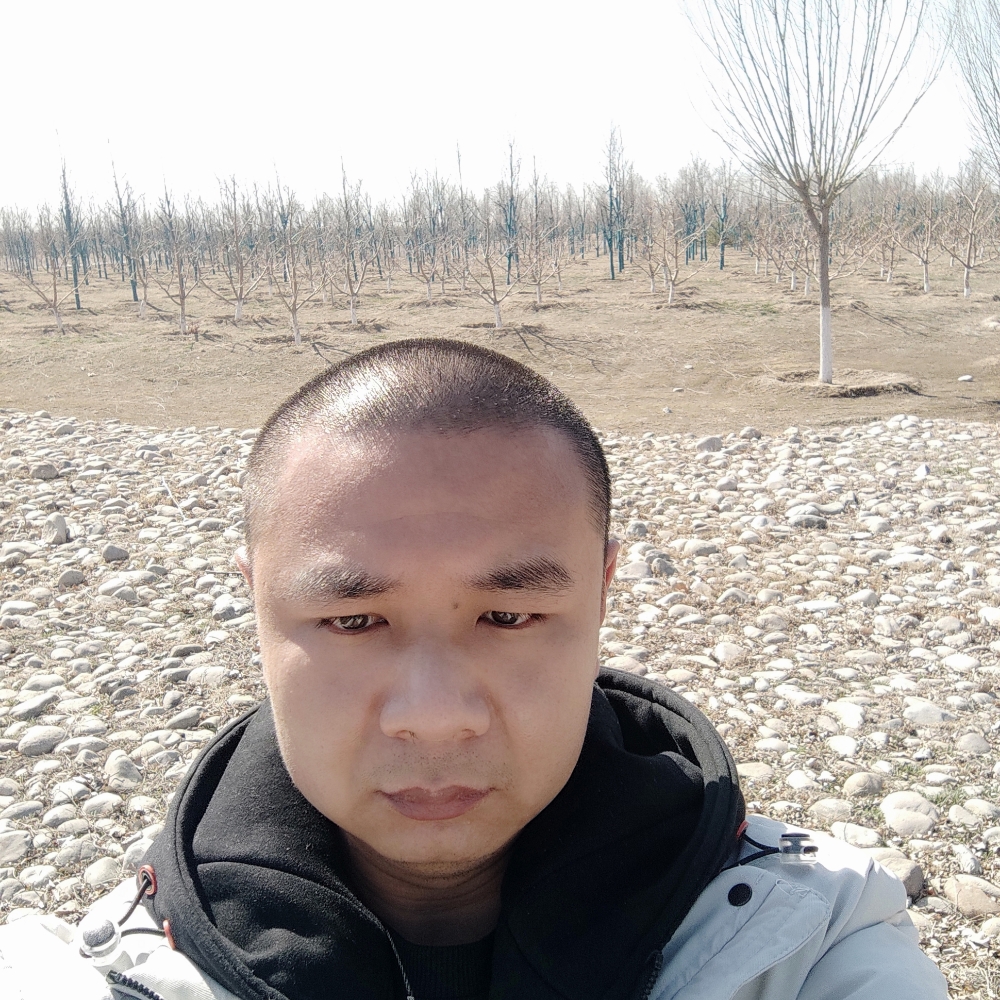 无聊爱恋斑马的照片
