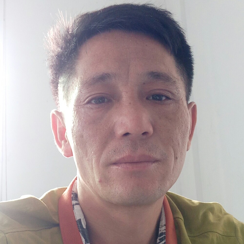 飞鸟多么平淡的照片