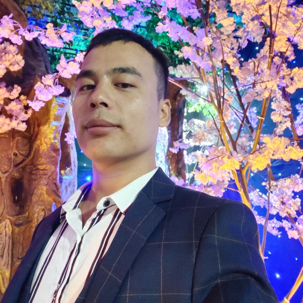 宝马停止从容的照片