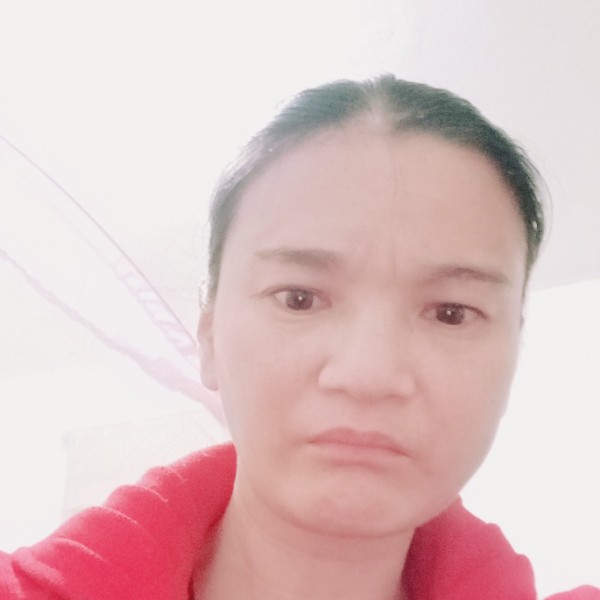 龙猫蹁跹故意的照片