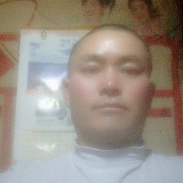 李伯请的照片