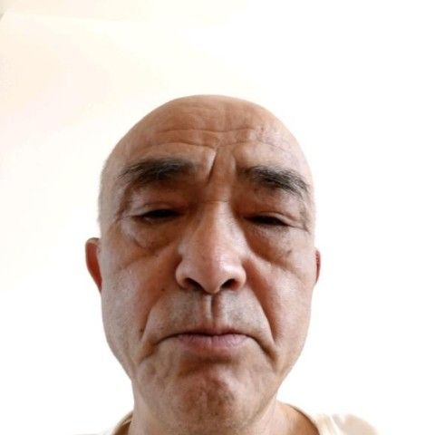 舒荷务实自由人的照片