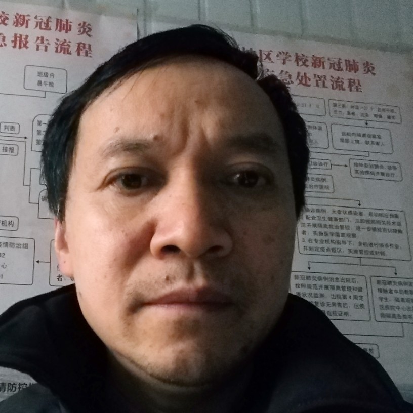 小蜜蜂机智的照片