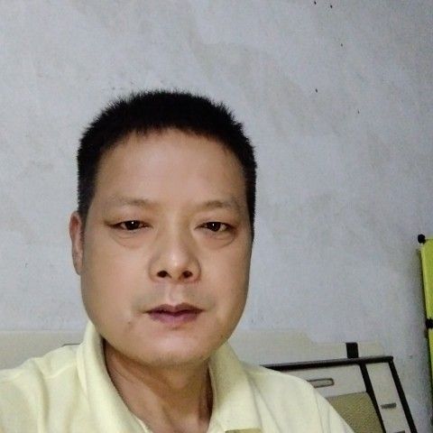 朴实蹁跹森槿的照片