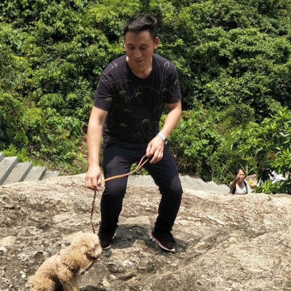 迷路时请往前走的照片