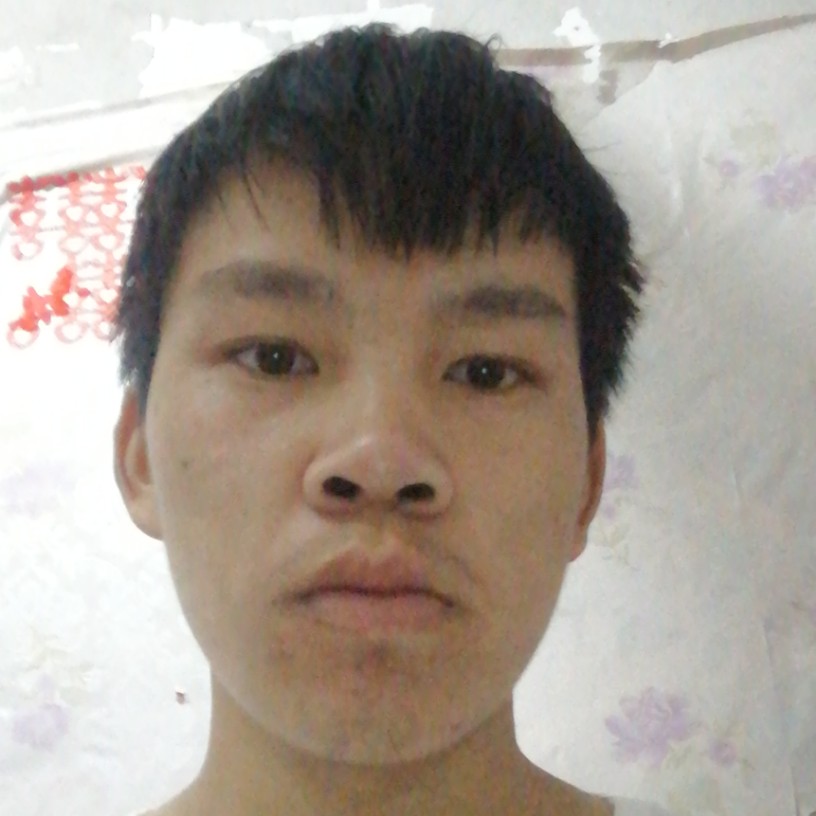 蜻蜓的孤單的照片