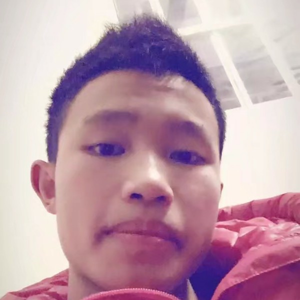 小刺猬深拥彼年的照片