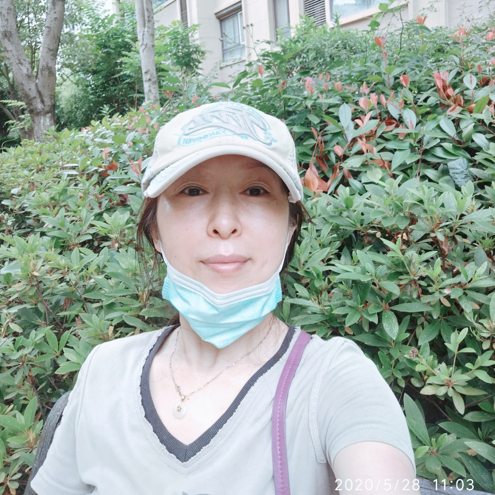 紫菜顺心的照片