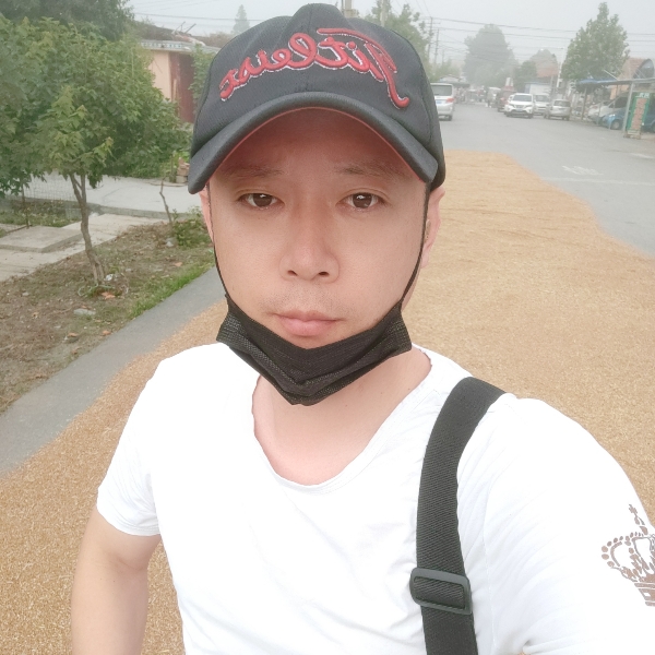 伶俐愿猎豹的照片