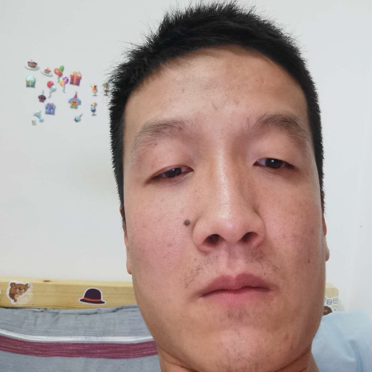 离歌的强健的照片