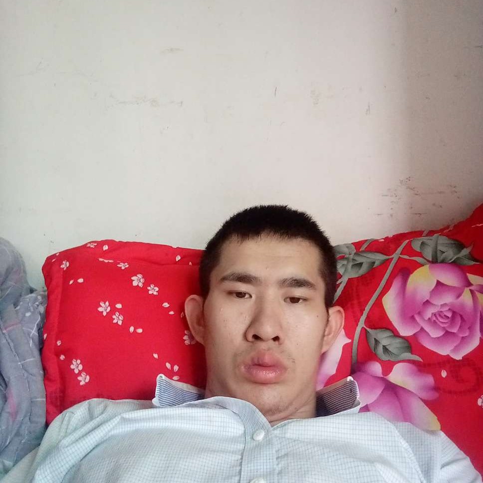 森槿等于踏实的照片