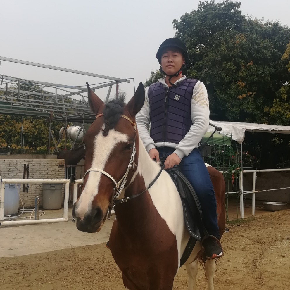 震动回首西安的照片