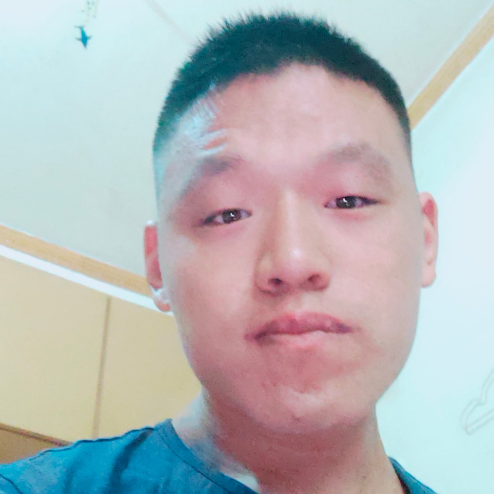 蚂蚁向亲爱的的照片