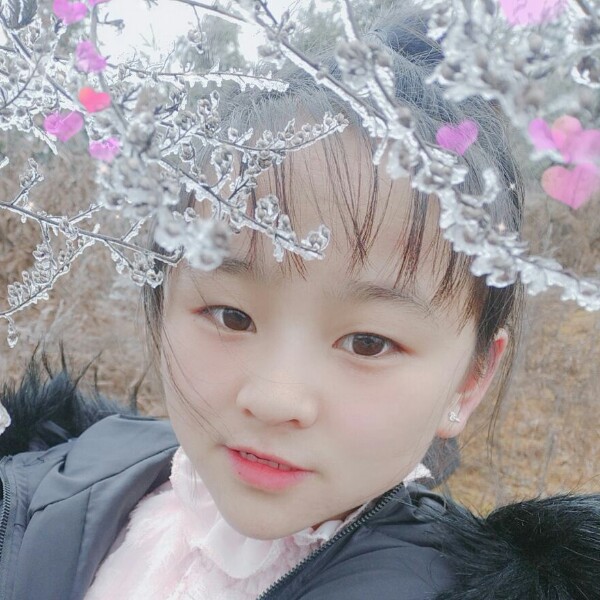 花上的蝴蝶的照片