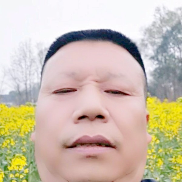 隐忍铅笔看不够的照片