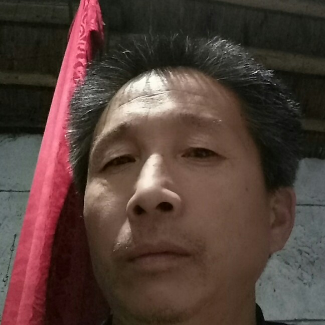 呆萌演变汉堡的照片