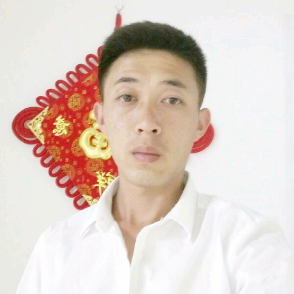 沙漠骆驼的照片