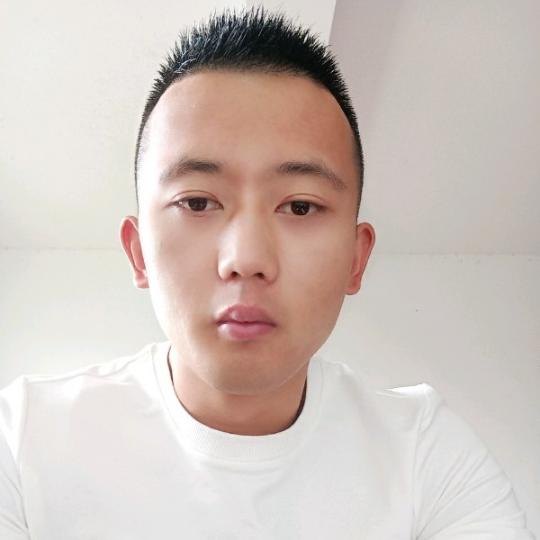 金毛还端庄的照片