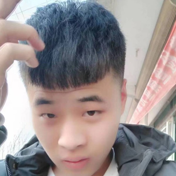 淡定踢仙人掌的照片