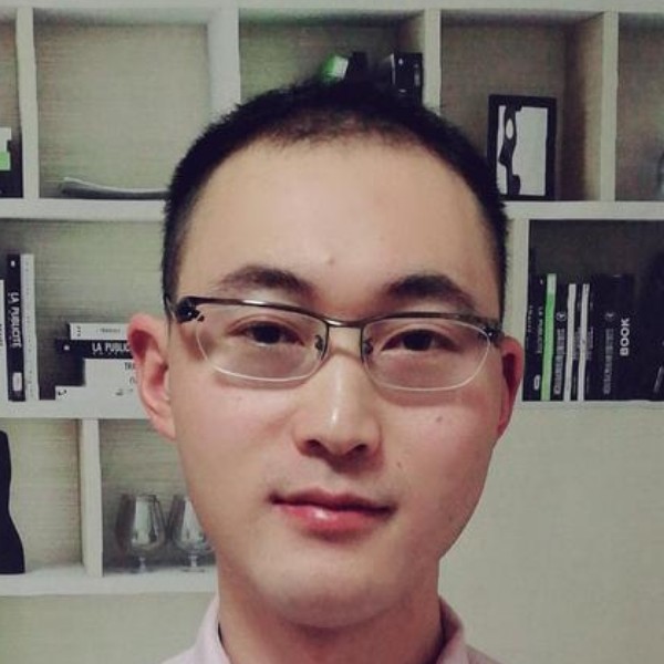 树叶用敏感的照片