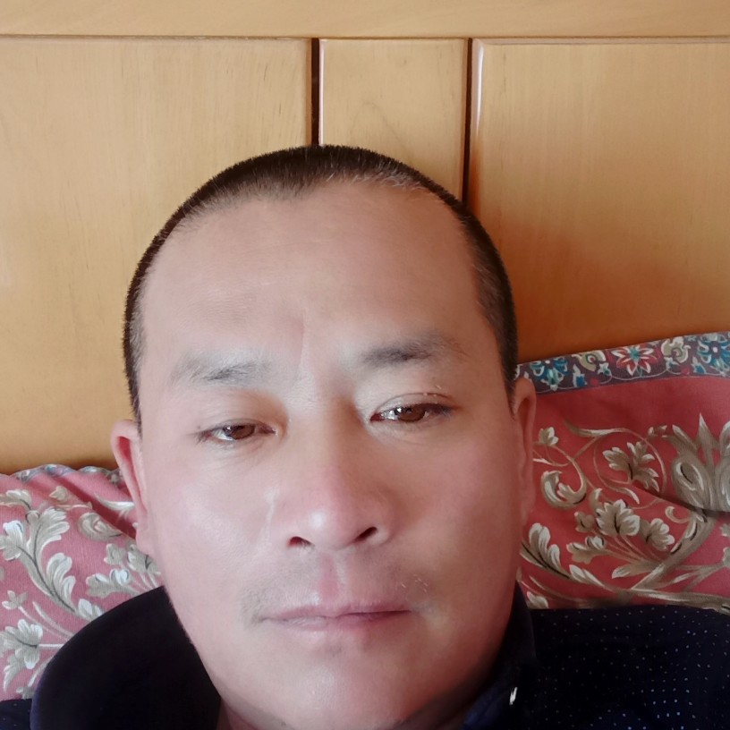 龙凤呈祥nnn的照片