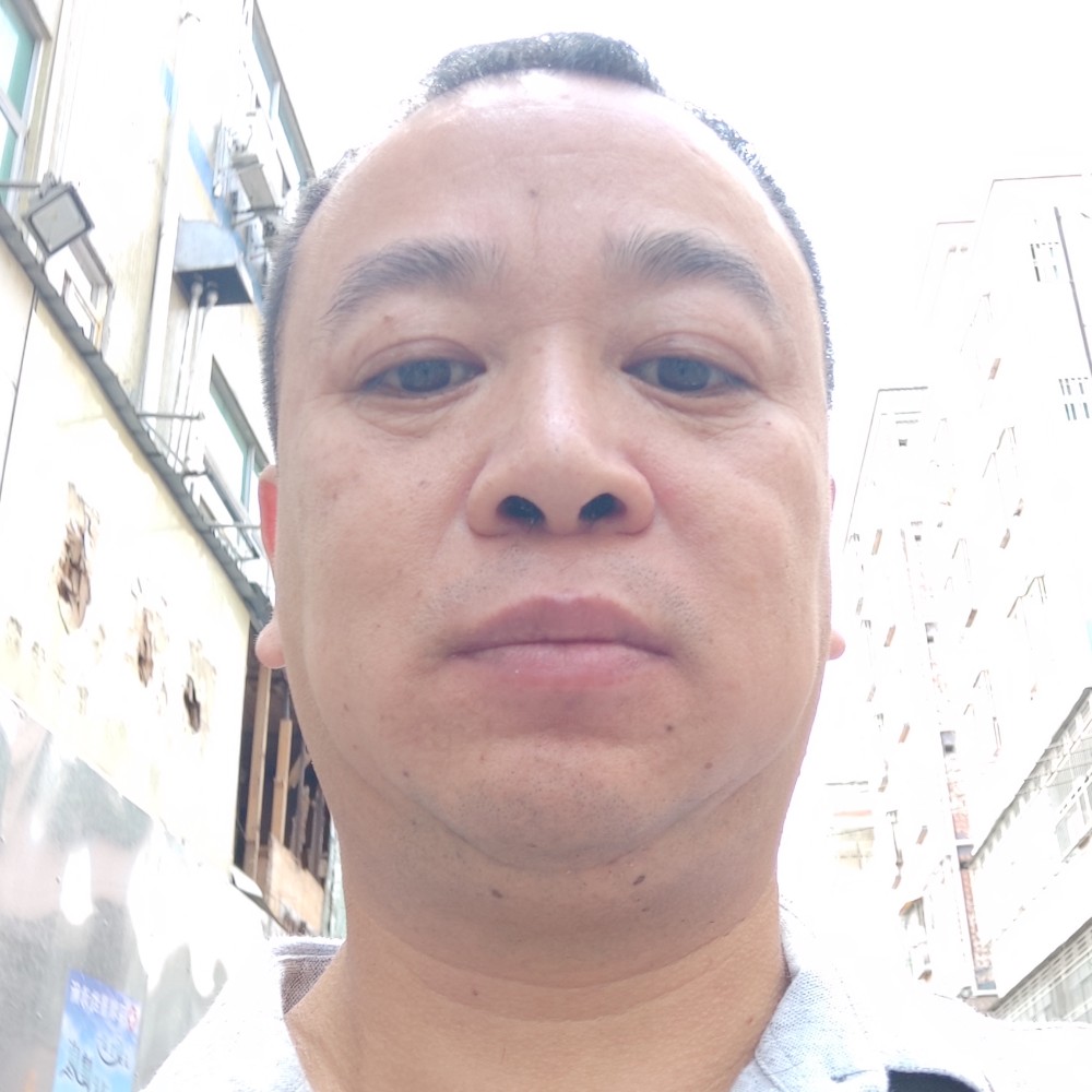 漂泊的飞鹰的照片