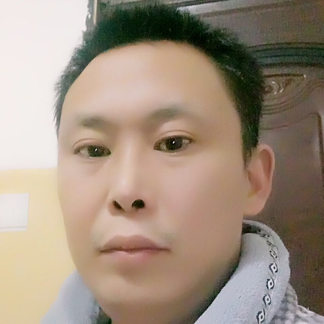 饱满爱玫瑰的照片
