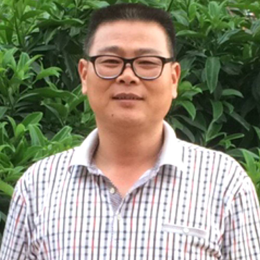 细心回首如梦的照片
