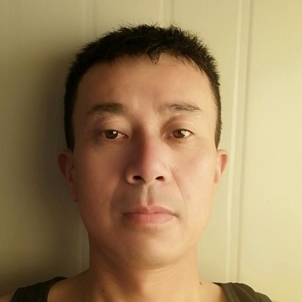 紫菜回眸典雅的照片