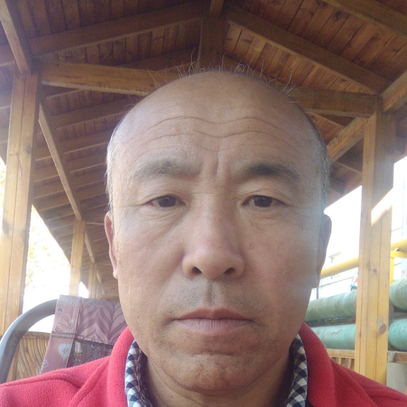 小鱼的照片