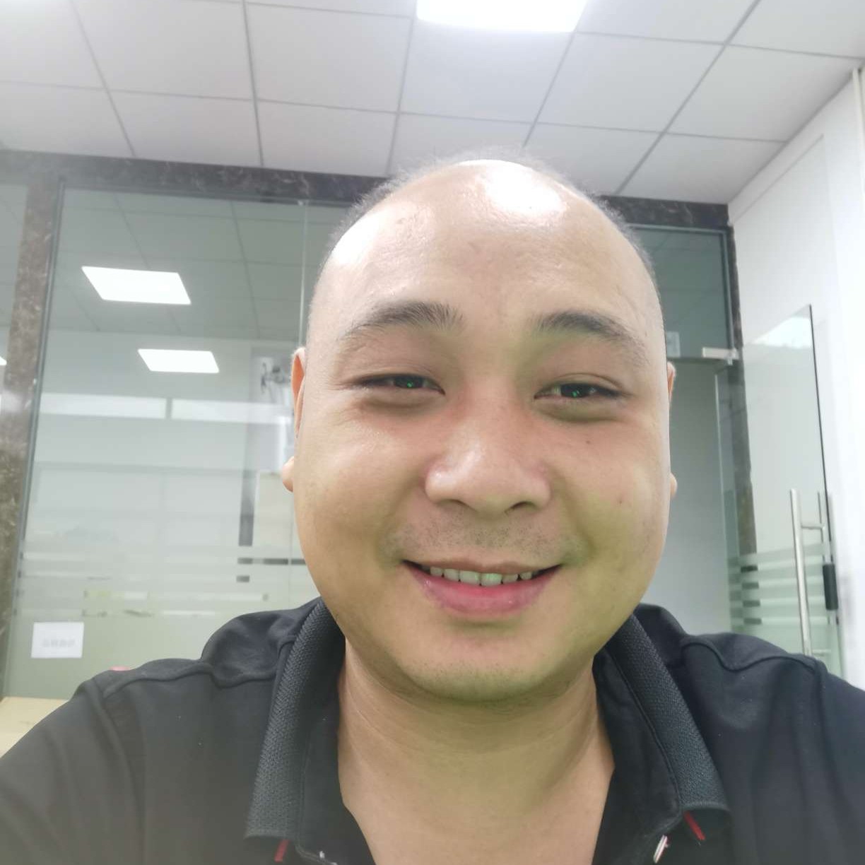 鸡打明媚的照片