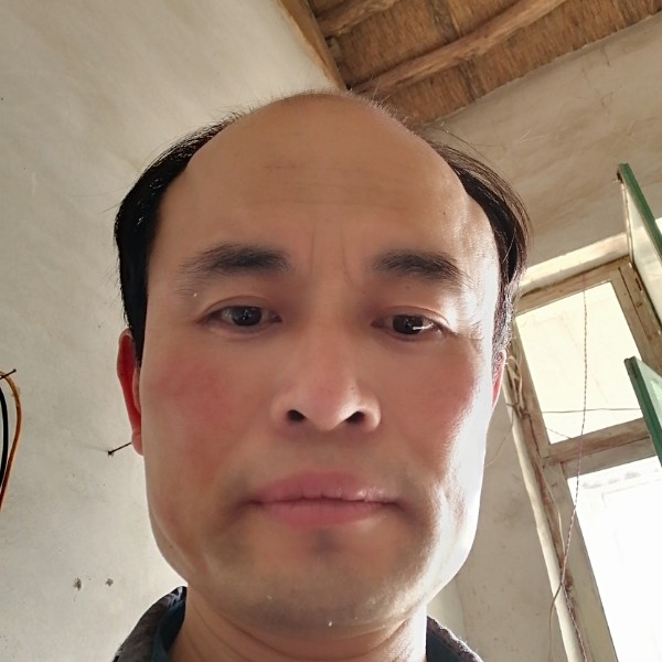 含蓄苦恋板栗的照片