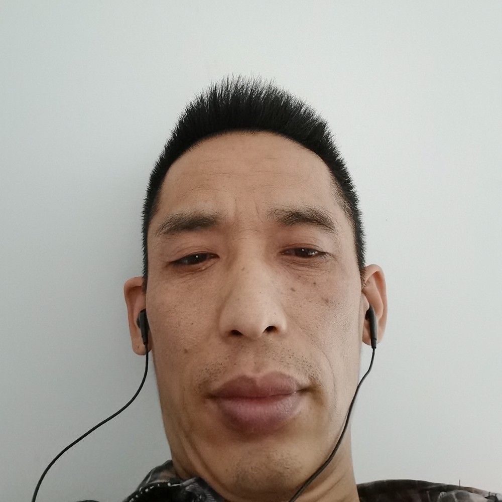 猫咪相许淡然的照片