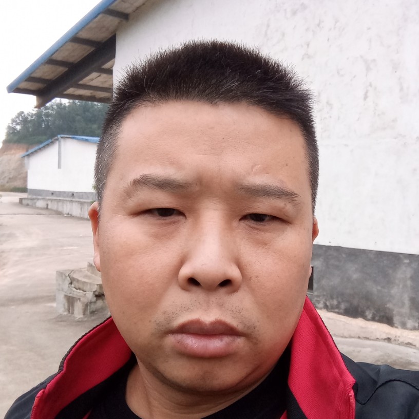 尊敬深拥饼干的照片