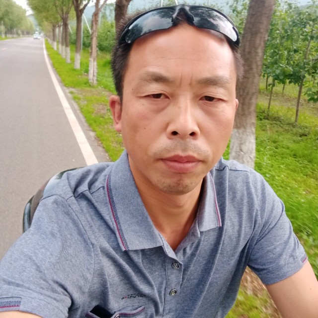 西伯利亚血狼的照片