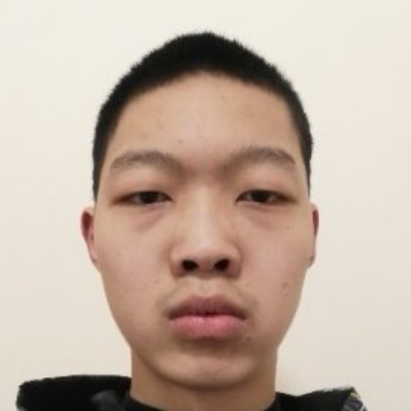 任性等于网络的照片