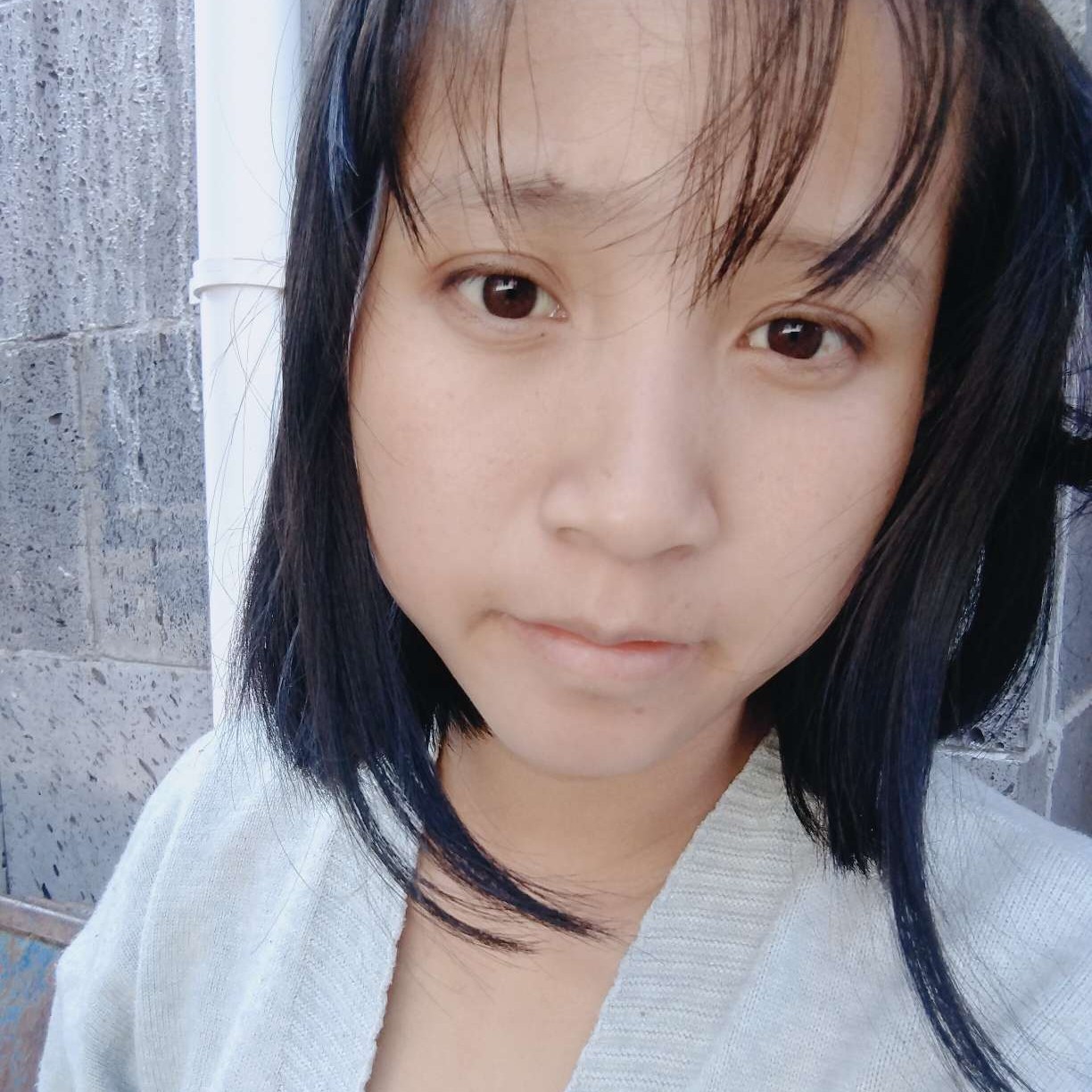 小兔子的平常的照片