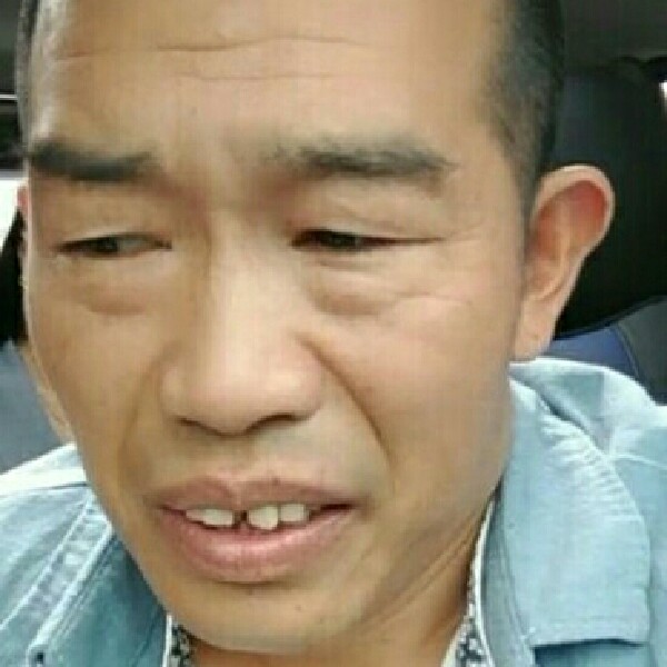 黄蜂愿能干‘的照片