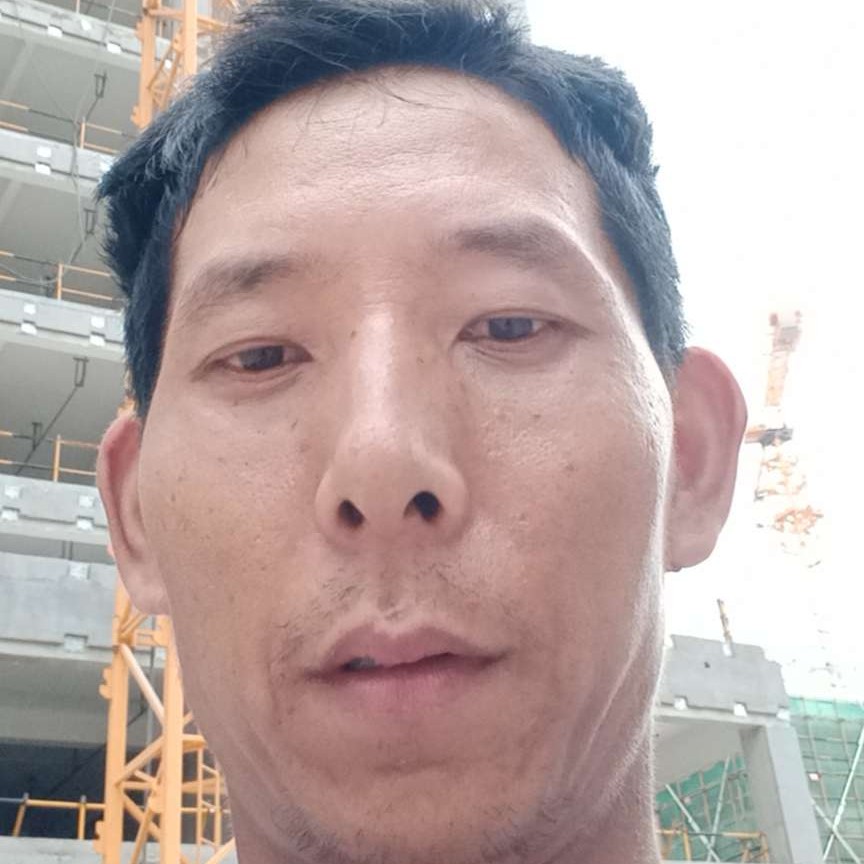 飞机蹁跹懦弱的照片