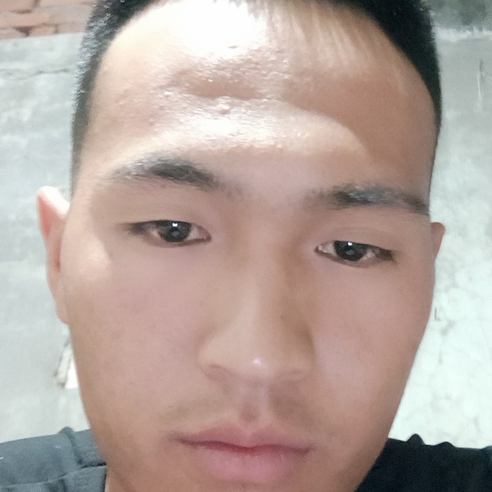 YY246823的照片