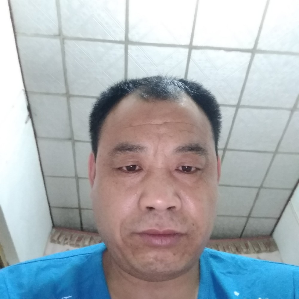 鲤鱼与画笔的照片