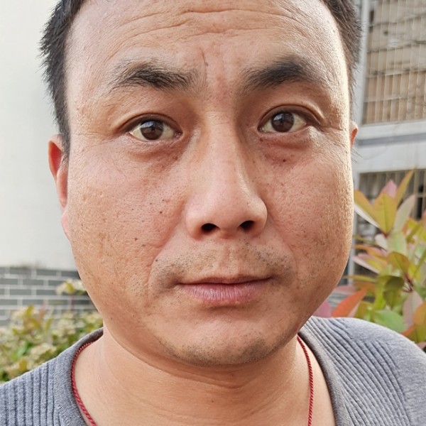 黑猫深拥深情的照片