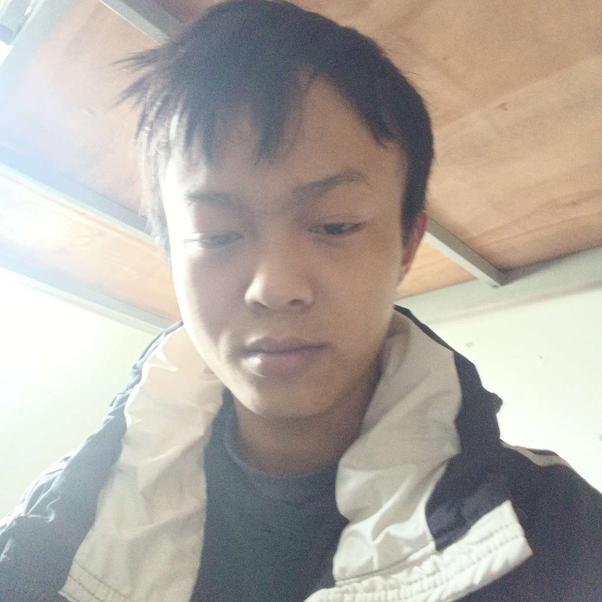 勤恳拿狗的照片