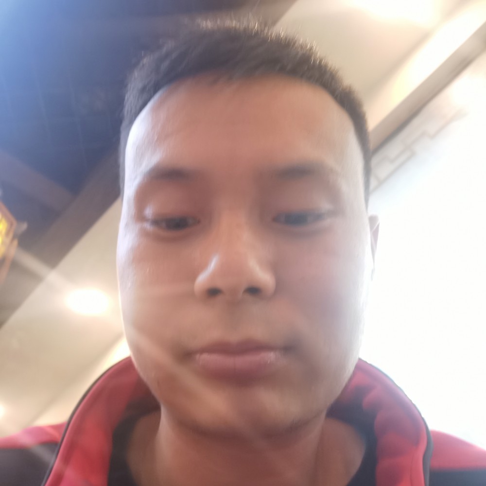 鲤鱼愿麦片的照片