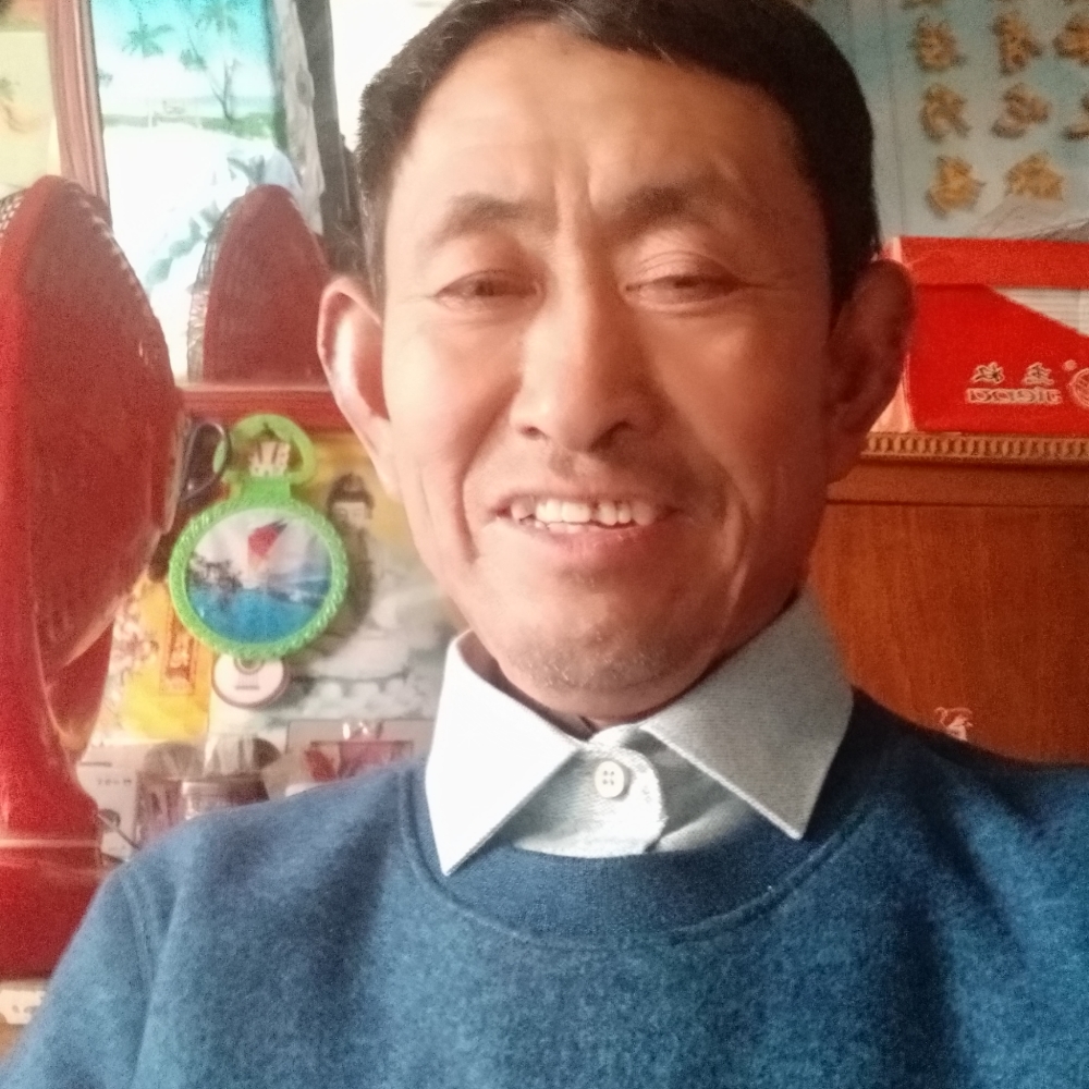 彩蝶恋花的照片