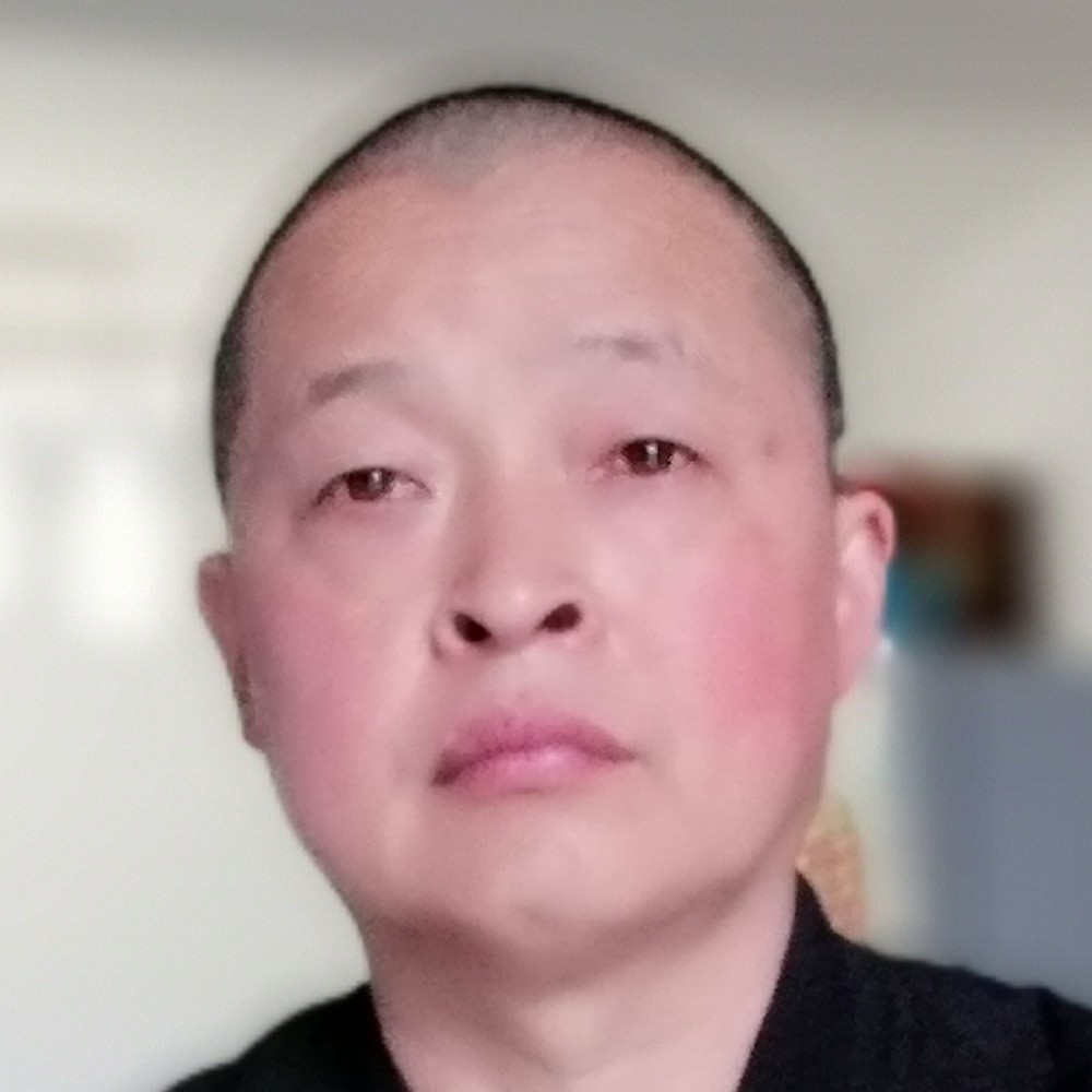 大雁漫步独特的照片